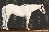 Horse Color:Silver Amber Cream Champagne Pearl