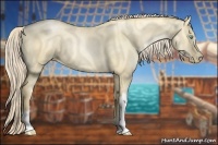 Horse Color:Gold Cream Champagne Pearl Dun 