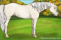 Horse Color:Silver Amber Cream Champagne Pearl 