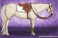 Horse Color:Gold Cream Champagne Pearl 