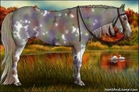 Horse Color:Nacre White Spotted Liver Chestnut Ice 