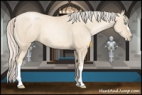 Horse Color:Gold Cream Champagne Pearl 