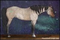 Horse Color:Brown Roan Dun 