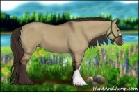 Horse Color:Liver Red Dun 