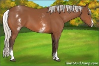 Horse Color:White Spotted Silver Bay Splash