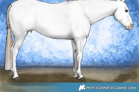 Horse Color:Brown Tobiano Snowcap 
