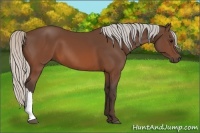 Horse Color:Silver Brown 