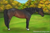 Horse Color:Brown 