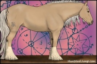 Horse Color:Palomino
