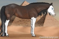 Horse Color:Brown Splash