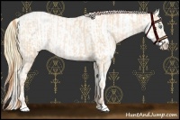 Horse Color:Buckskin Roan Pearl  and Buckskin Roan Pearl Blanket 
