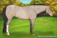 Horse Color:Sable Champagne Roan 