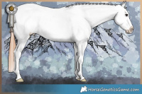 Horse Color:Grullo Tobiano Varnish