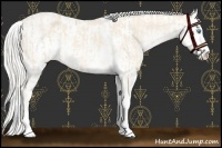 Horse Color:Cremello Sabino  and Cremello Sabino 
