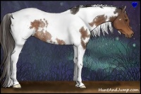 Horse Color:White Spotted Liver Chestnut Tobiano Rabicano
