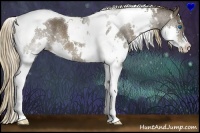 Horse Color:White Spotted Liver Chestnut Splash Tobiano Rabicano