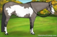 Horse Color:Grullo Frame