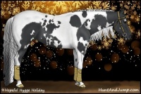 Horse Color:White Spotted Black Tobiano 