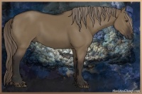 Horse Color:Liver Red Dun Rabicano 