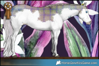 Horse Color:Plaid  Chocolate Palomino Dun Splash Brindle 