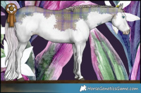 Horse Color:Plaid Chocolate Palomino Dun Splash Brindle