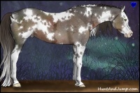 Horse Color:White Spotted Liver Chestnut Ice Splash