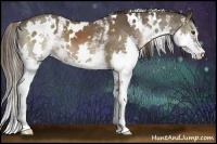 Horse Color:White Spotted Liver Chestnut Splash 