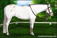 Horse Color:Liver Red Dun Roan Varnish 