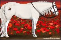 Horse Color:Smoky Creme Roan Splash Appaloosa 