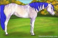 Horse Color:Watercolor White Spotted Buckskin Ice Onyx