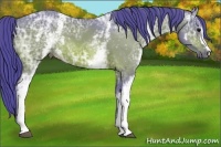 Horse Color:Watercolor White Spotted Bay Ice 