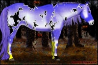 Horse Color:Watercolor White Spotted Chocolate Palomino Onyx