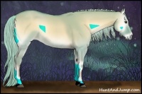 Horse Color:Watercolor Palomino Onyx 
