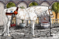 Horse Color:Chocolate Palomino Pearl Appaloosa