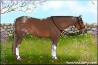 Horse Color:White Spotted Liver Chestnut Tobiano