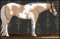 Horse Color:Silver Bay Dun Sabino Tobiano Frame Rabicano 