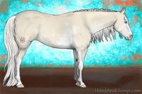 Horse Color:Cremello Sabino  and Cremello Sabino Splash 