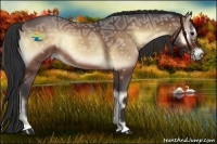 Horse Color:Bay Ice Roan Onyx 