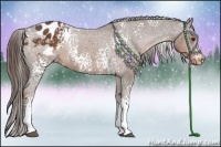 Horse Color:White Spotted Liver Chestnut Varnish