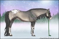 Horse Color:Blue Onyx Sabino Appaloosa 
