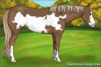 Horse Color:Chestnut Frame