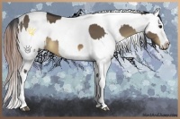 Horse Color:Brown Dun Tobiano  and Buckskin Tobiano Near Leopard 