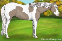 Horse Color:Chocolate Silver Grullo Splash Tobiano 