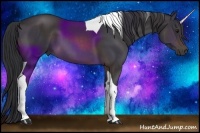 Horse Color:Buckskin Tobiano