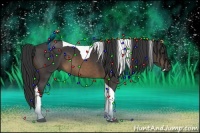 Horse Color:Buckskin Tobiano