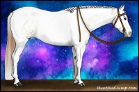 Horse Color:Bay Snowdrop Onyx Splash Tobiano Snowflake Varnish 