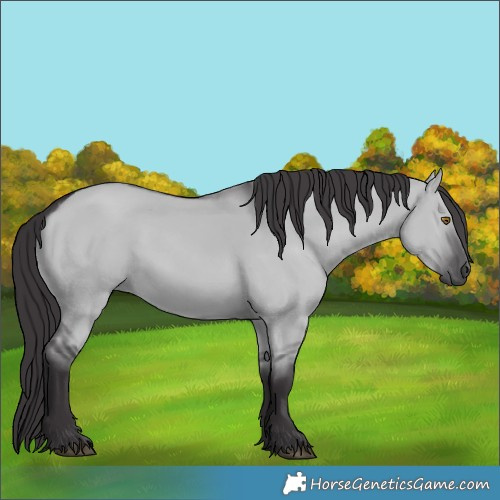 Horse Color:Smoky Grullo Chinchilla 