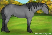 Horse Color:Smoky Grullo Chinchilla