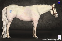 Horse Color:Palomino Ice Dun Splash