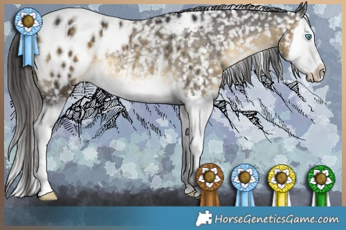 Horse Color:Buckskin Splash Appaloosa Rabicano 